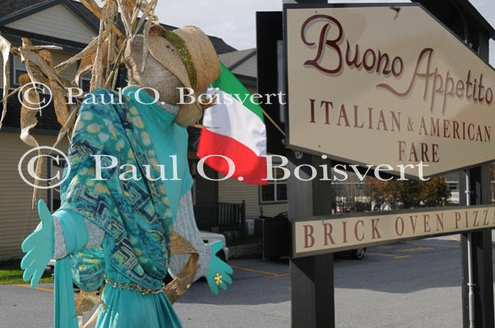 Scenery-Fall 70-05-14706