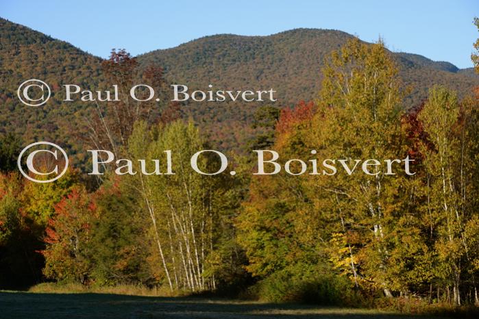 Scenery-Fall 70-05-14712