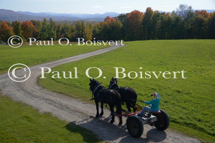 Scenery-Fall 70-05-14767