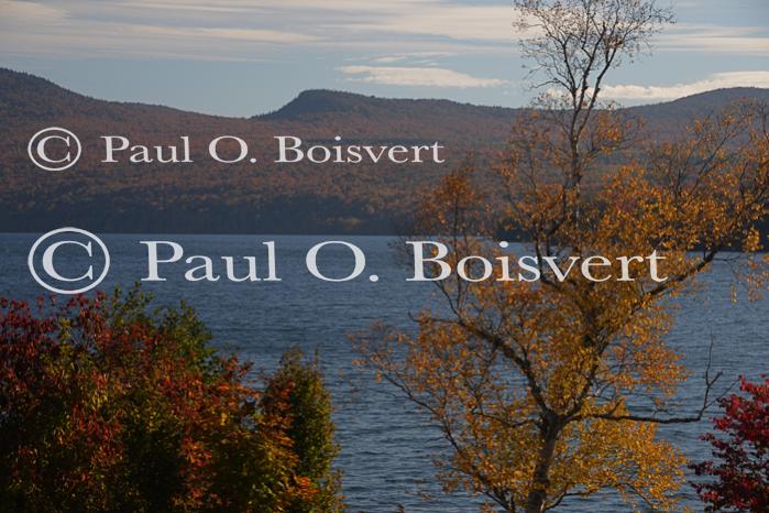 Scenery-Fall 70-05-14783