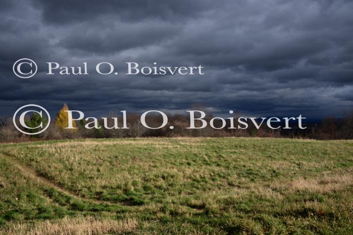 Farm-Shelburne Farms 30-25-02202