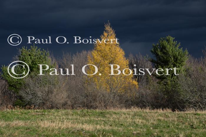 Farm-Shelburne Farms 30-25-02203