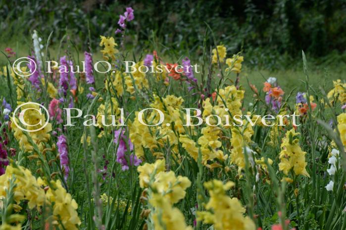 Farm-Garden 30-15-02333