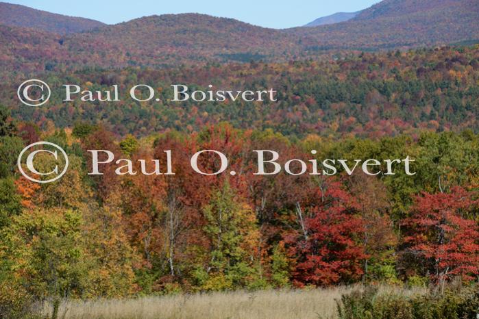 Scenery-Fall 70-05-14818