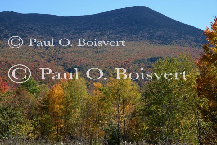 Scenery-Fall 70-05-14823