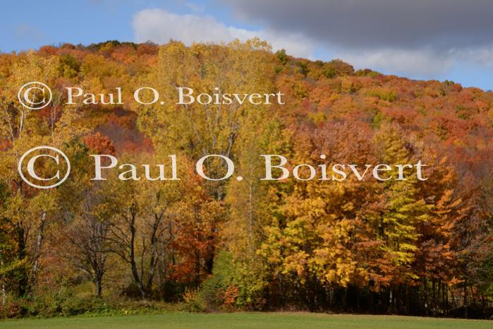 Scenery-Fall 70-05-14841