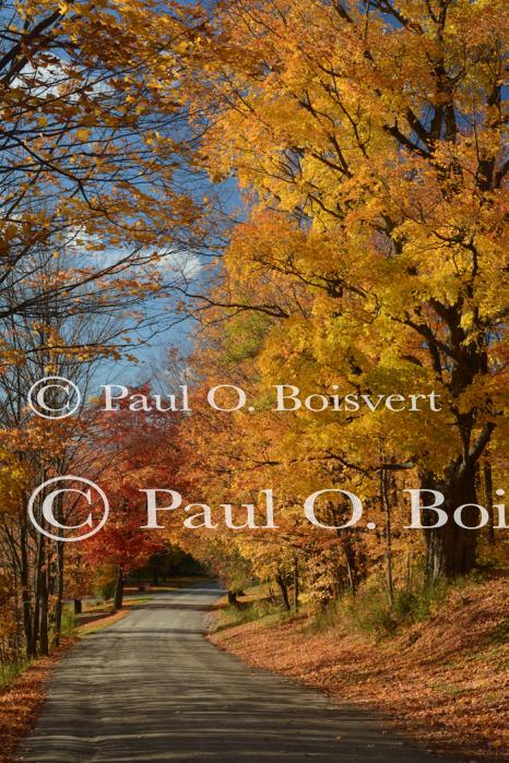 Scenery-Fall 70-05-14909