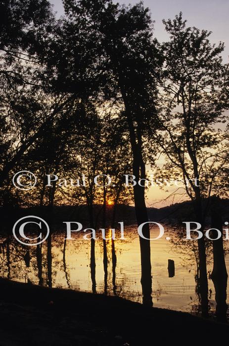 Sunset-Spring 80-00-01758