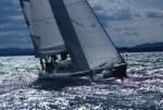 Sports-Sail 75-45-01443