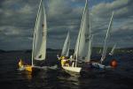 Sports-Sail 75-45-05733