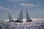 Sports-Sail 75-45-00347