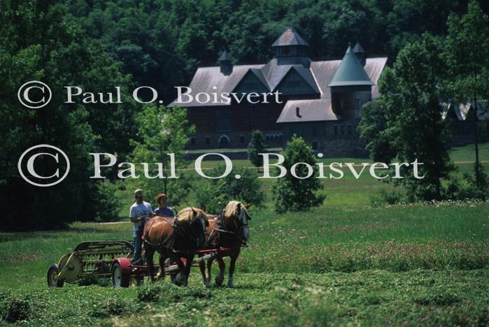 Farm-Shelburne Farms 30-25-01779