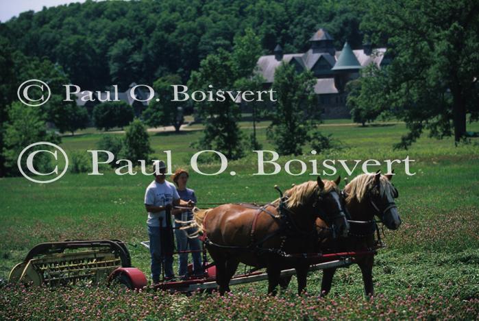 Farm-Shelburne Farms 30-25-01750