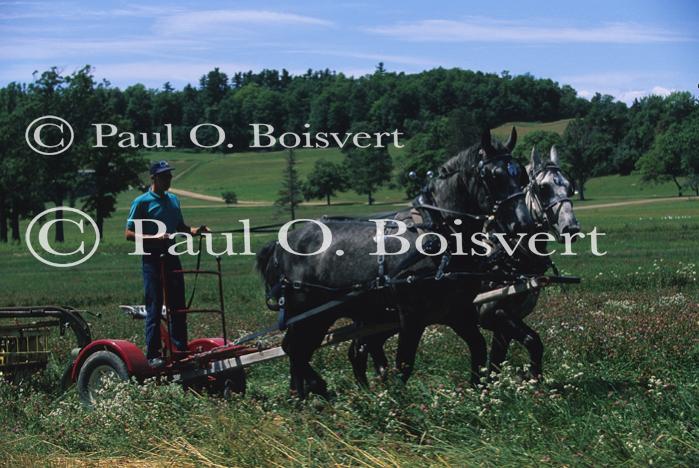 Farm-Shelburne Farms 30-25-01746