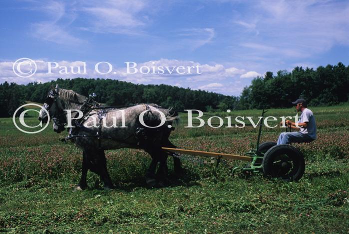 Farm-Shelburne Farms 30-25-01702