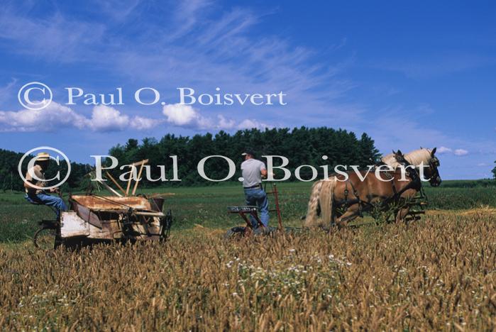 Farm-Shelburne Farms 30-25-01693