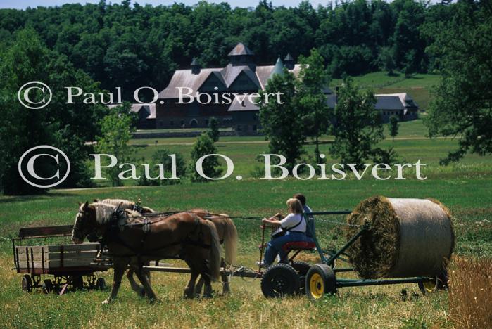 Farm-Shelburne Farms 30-25-01692