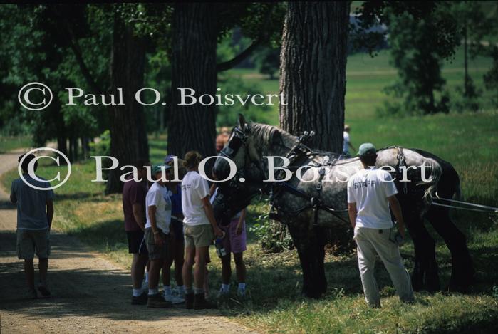 Farm-Shelburne Farms 30-25-01666