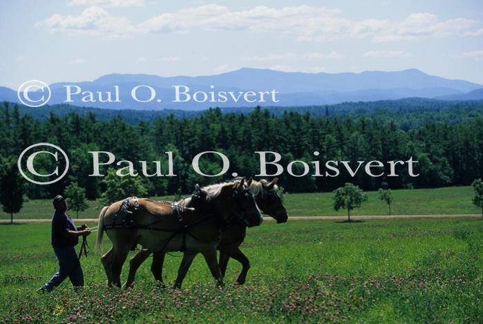 Farm-Shelburne farms 30-25-01649