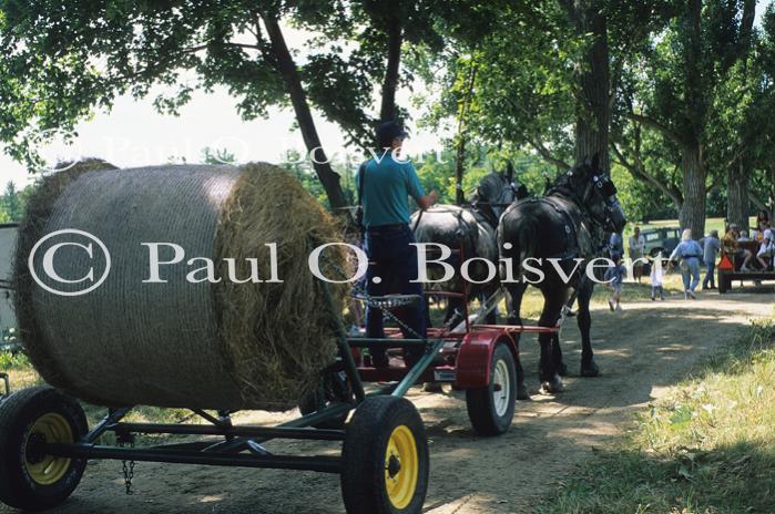 Farm-Shelburne Farms 30-25-01646