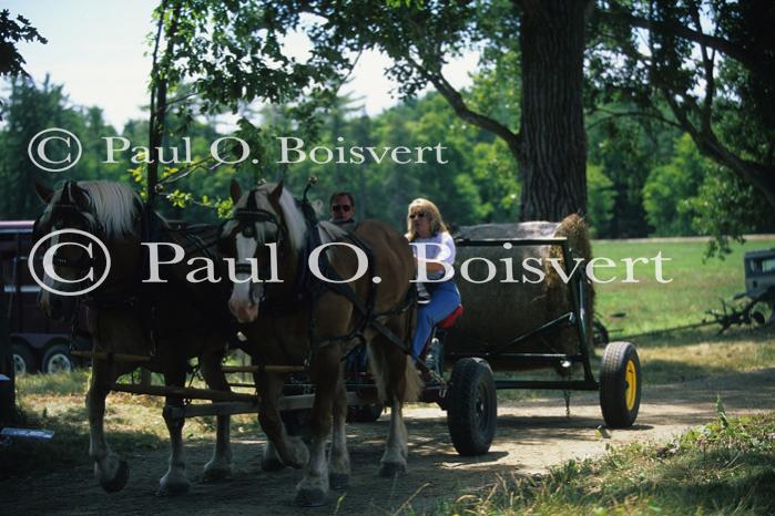 Farm-Shelburne Farms 30-25-01645