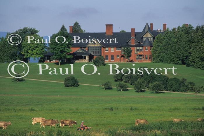 Farm-Shelburne Farms 30-25-00577