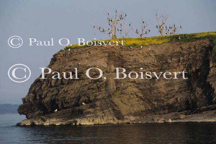 Lake Champlain 53-00-00120