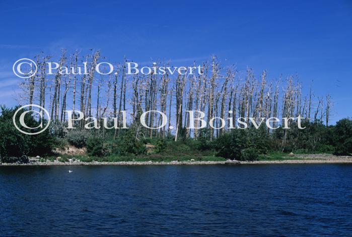 Lake Champlain 53-00-02619