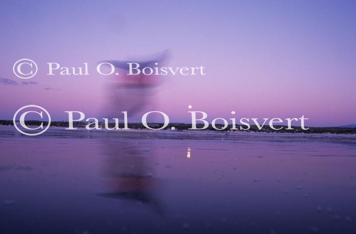 Moonrise 80-05-00198