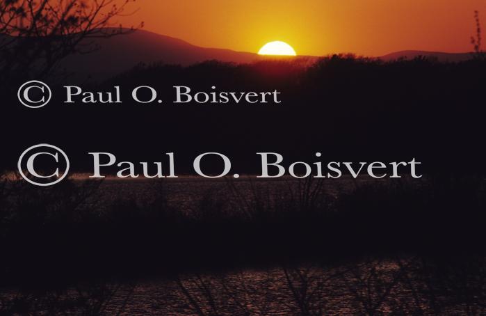 Sunset-Spring 80-07-00031