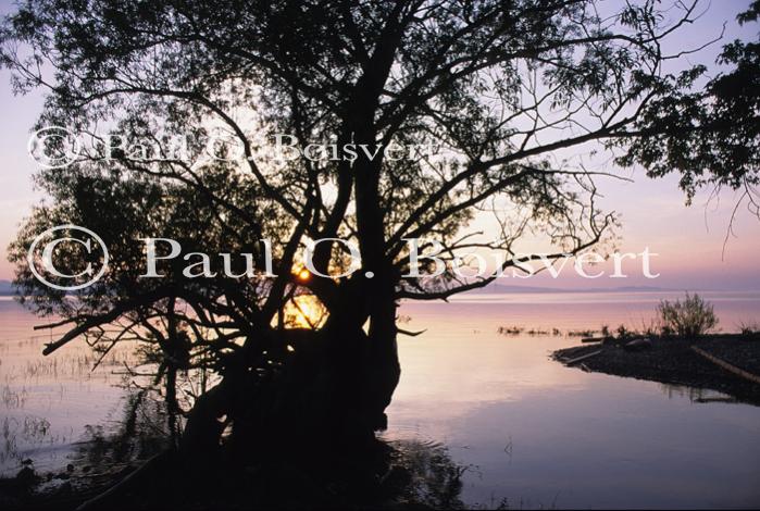 Sunset-Summer 80-09-01351