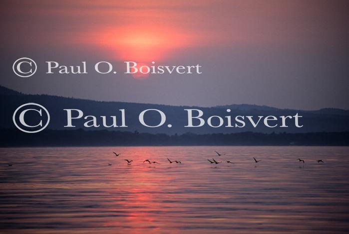 Sunset-Summer 80-09-00703