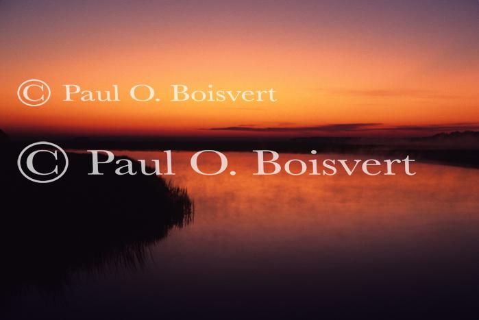 Sunset-Summer 80-00-00781