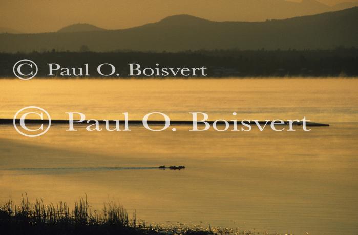 Sunset-Winter 80-15-00082