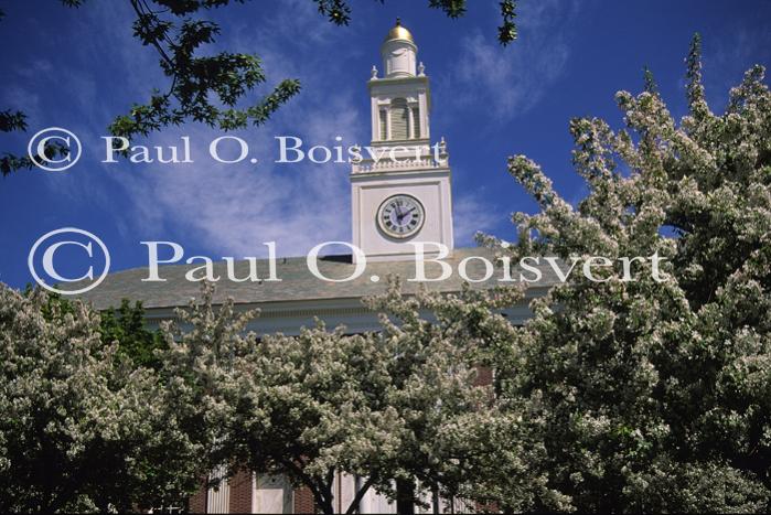 Burlington 81-20-01531