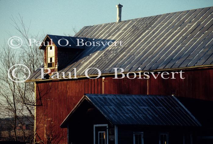 Charlotte 81-50-00131