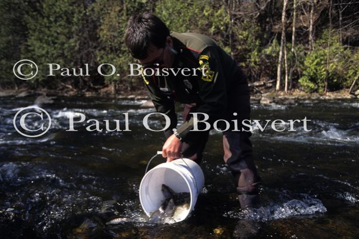 Sports-Fishing 75-25-00834