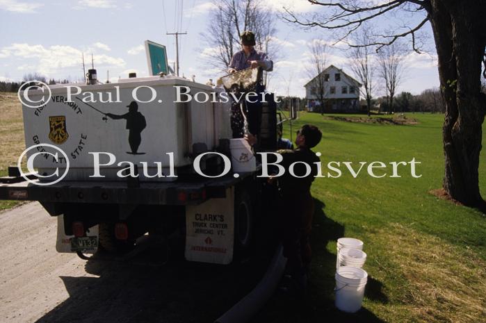 Sports-Fishing 75-25-00845