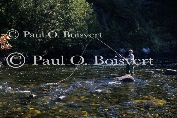 Sports-Fishing 75-25-01168