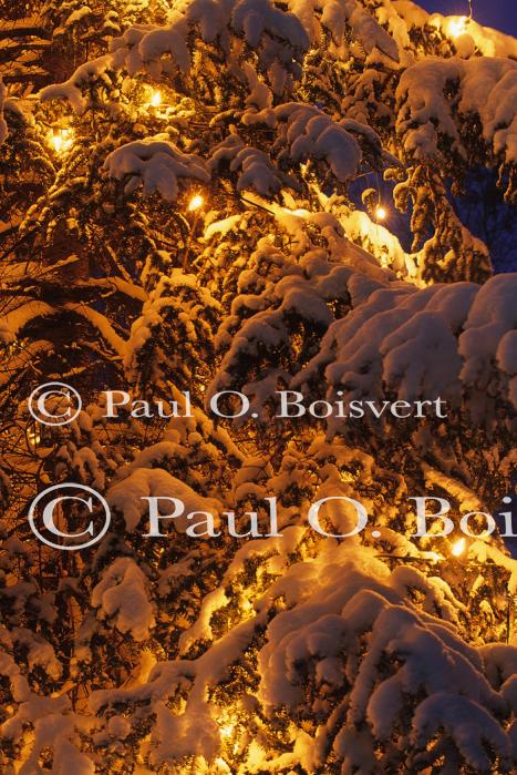 Holiday-Christmas 50-05-01325