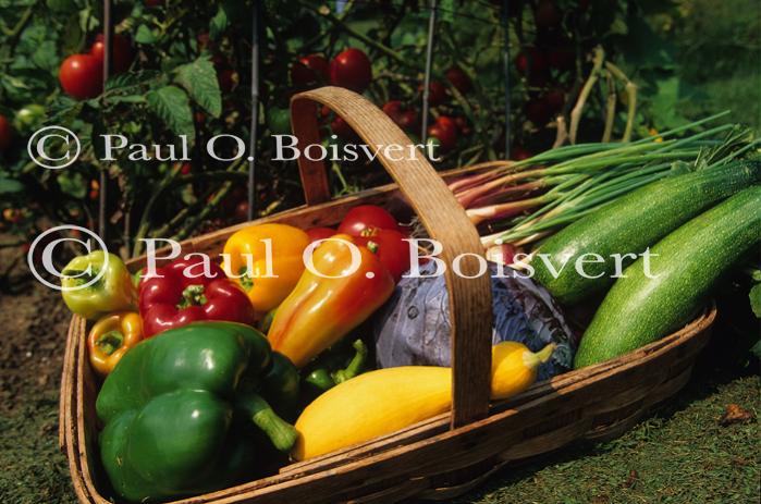 Farm-Garden 30-15-02015