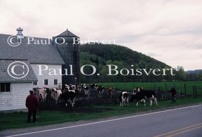 Farm-Spring 30-30-00150