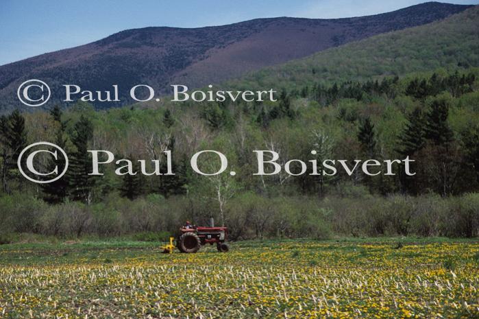 Farm-Spring 30-30-00285