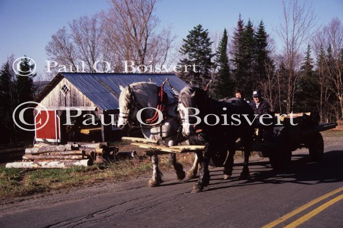 Farm-Spring 30-30-00300