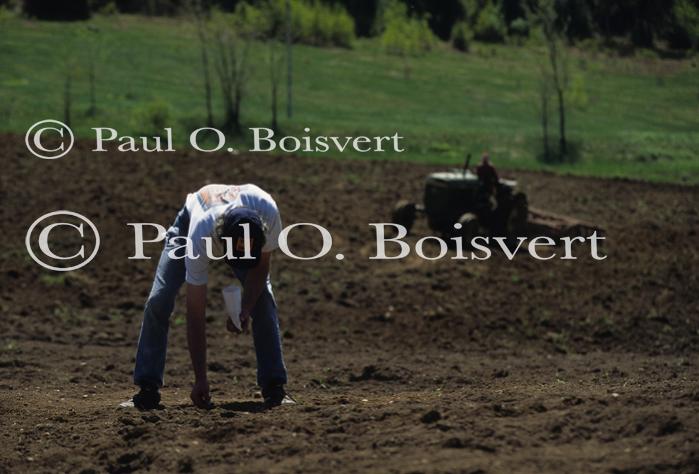 Farm-Spring 30-30-00453