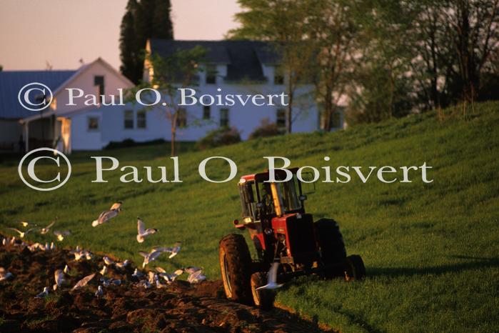 Farm-Spring 30-30-00605