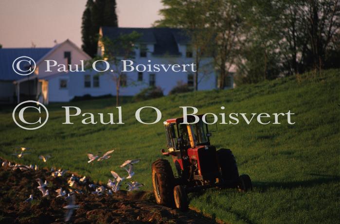 Farm-Spring 30-30-00606