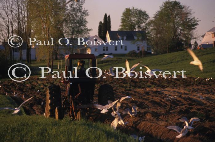 Farm-Spring 30-30-00657