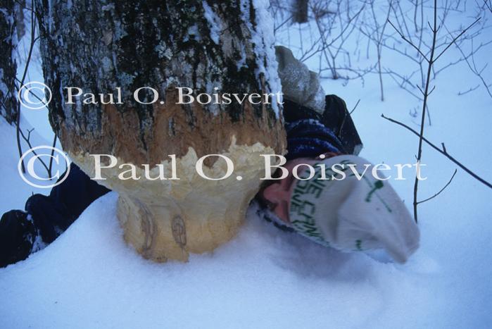 Sports-Mountain 75-35-00643