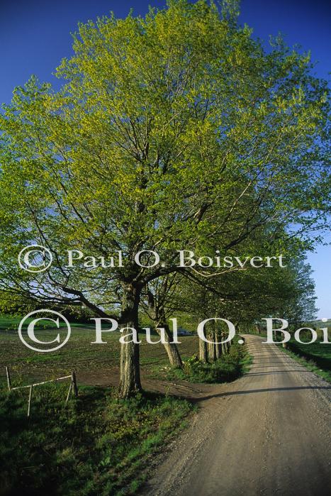 Scenery-Nature 70-08-00307